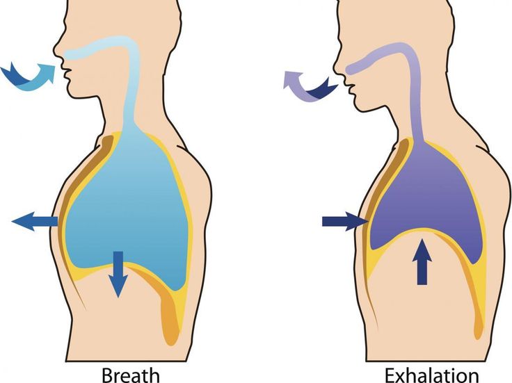 "Breathing exercises for healthy lungs help reduce anxiety and support overall well-being."